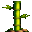 bamboo