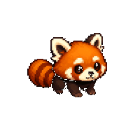 Red Panda portrait